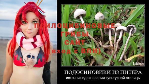 герыч Арсеньев