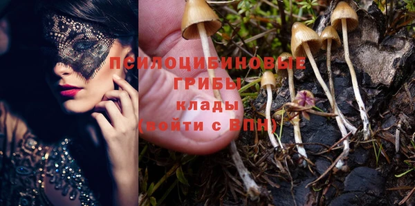 герыч Арсеньев