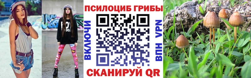 Галлюциногенные грибы Magic Shrooms где можно купить Ельня